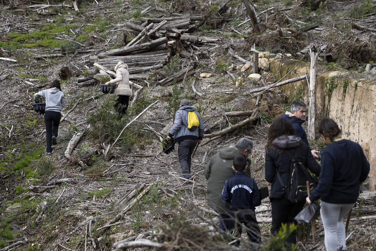 075 Plantação De Árvores EMIGUS Bx