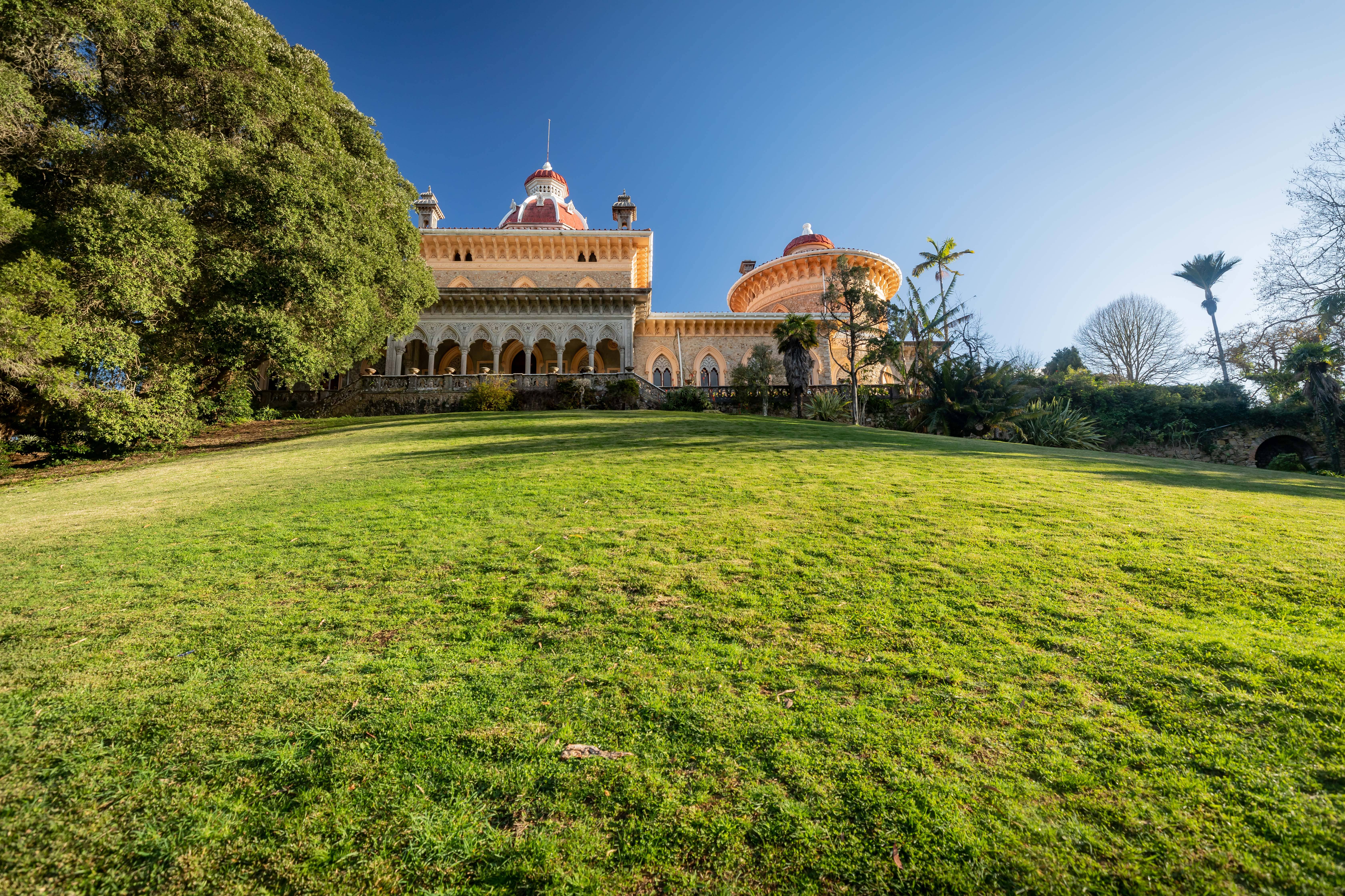 Pedipaper Mons Luis Duarte PSML 9554 4