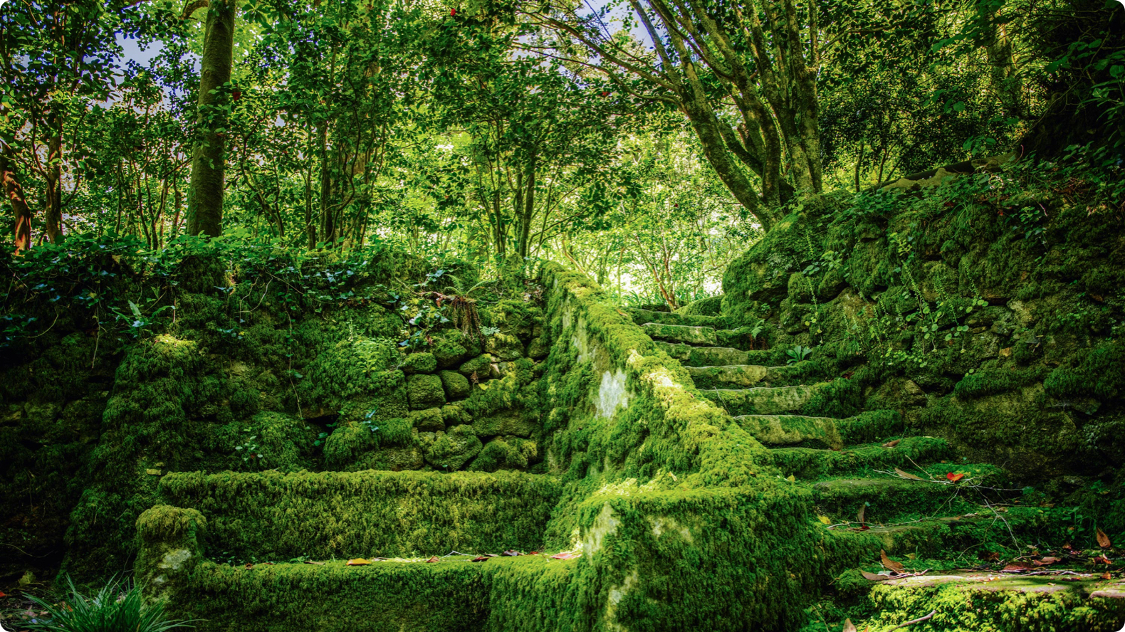 EM SINTRA PARQUES E MONUMENTOS CLEAN&SAFE