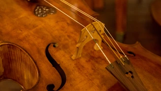 Violoncelo Barroco PSML Luís Duarte 5098