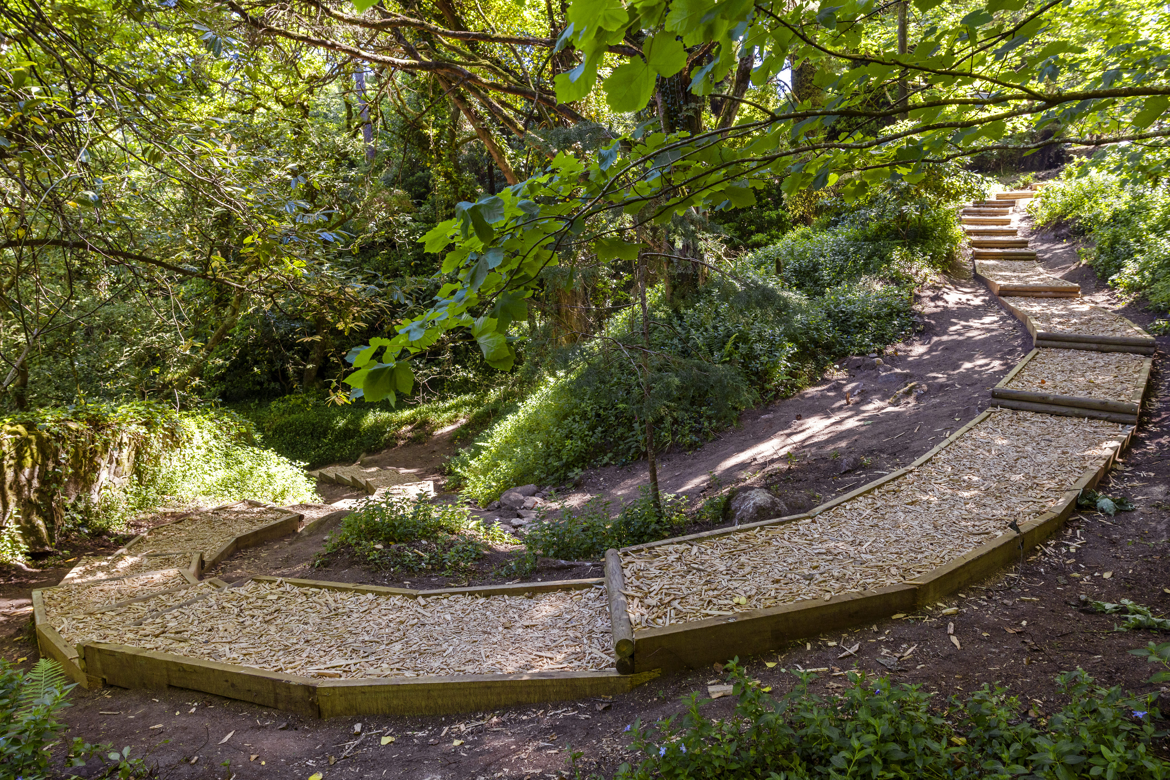 02 Caminho Pedonal Santa Eufemia Creditos PSML Jose Marques Silva Bx