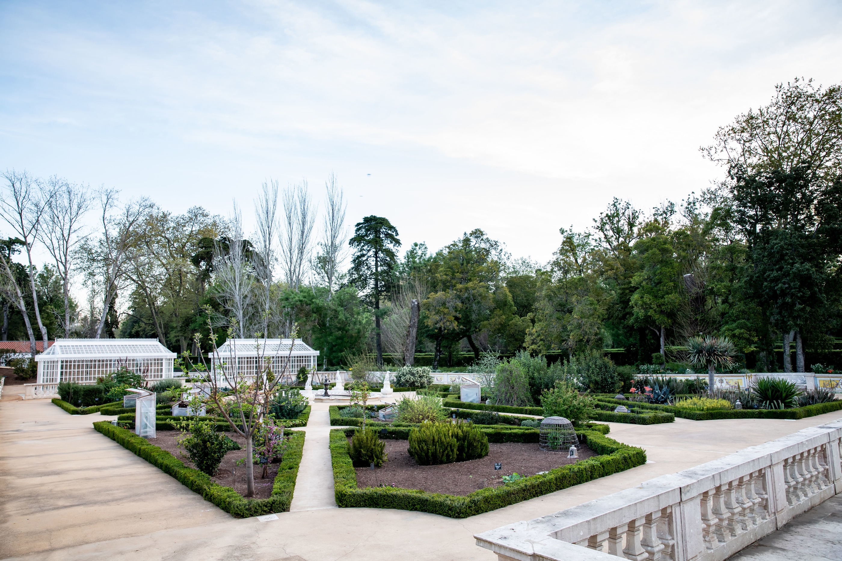 Lui╠Üs Duarte PSML 3819 (1) (1)