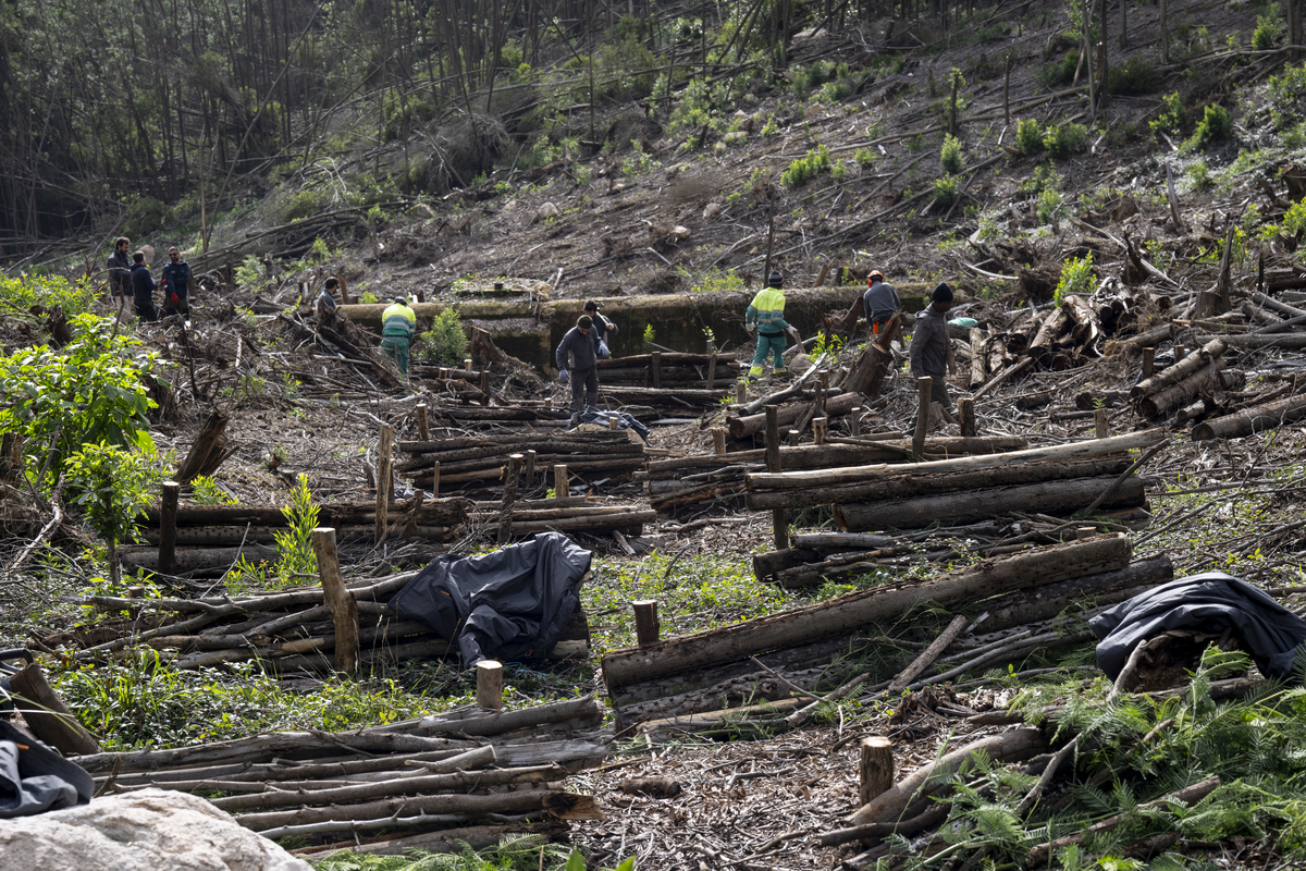 099 Monte Da Lua WZ9 6227 20251120November 20, 2025 Bx Emigus