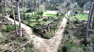 Foto Parque Da Pena Trabalhos De Limpeza Apos Depressao Martinho