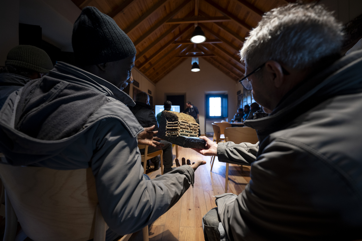 038 Monte Da Lua DSC 5820 20251120November 20, 2025 Bx Emigus