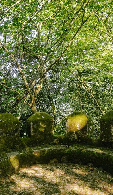 Parques De Sintra Castelo Dos Mouros Segunda Cintura Muralhas