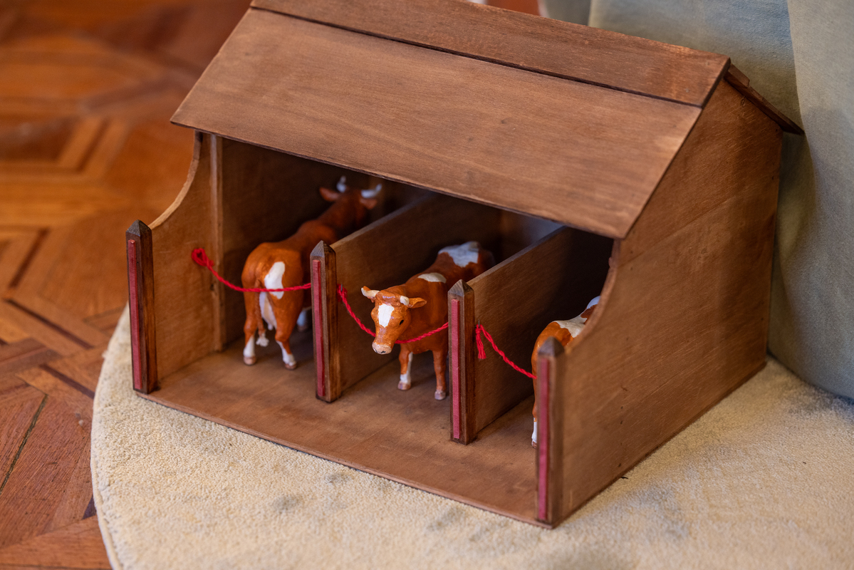 E7A9893©PSML Jose Marques Silva Bx