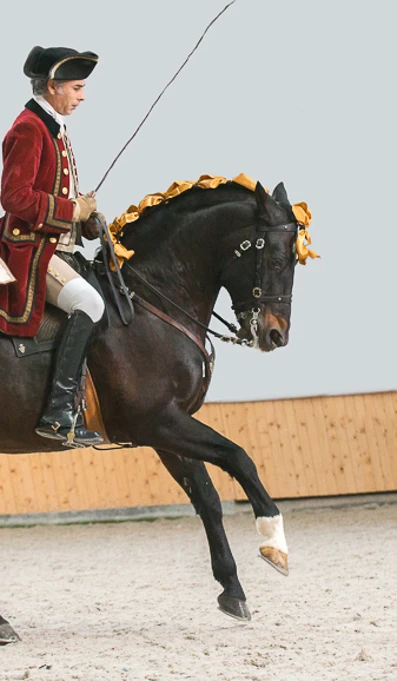 APP578 Passagemmao MG 4809 (1)