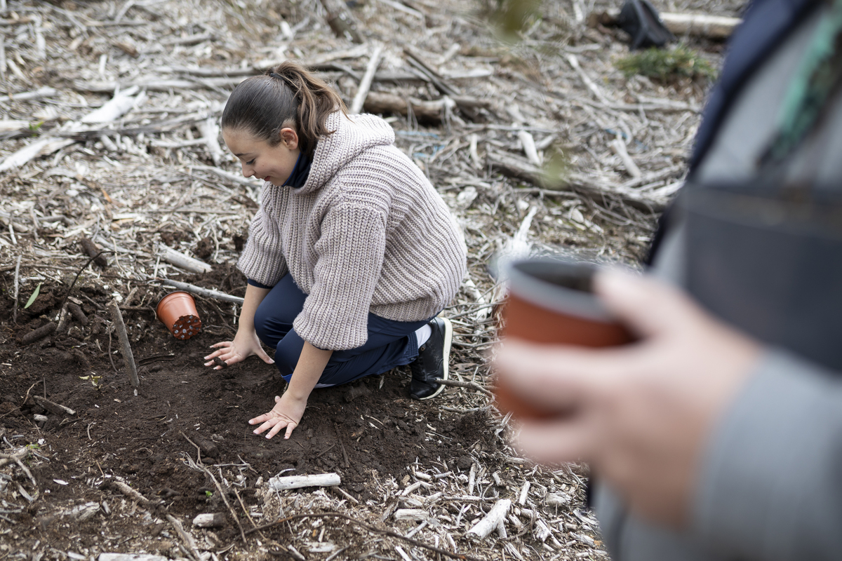 087 Plantação De Árvores EMIGUS Bx