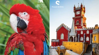 Zoo Imagem Site 06