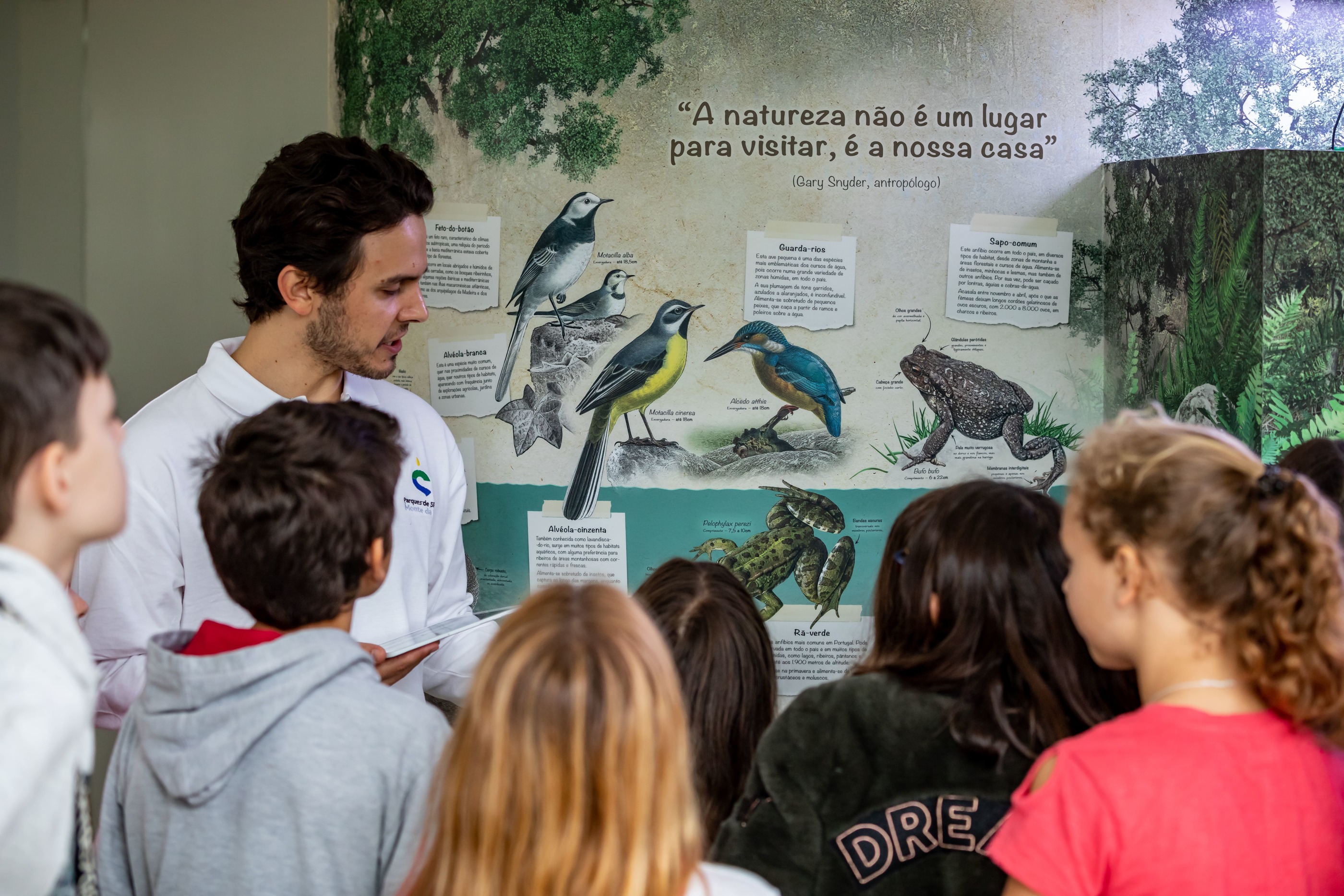 CIN Creditos PSML Luisduarte Final