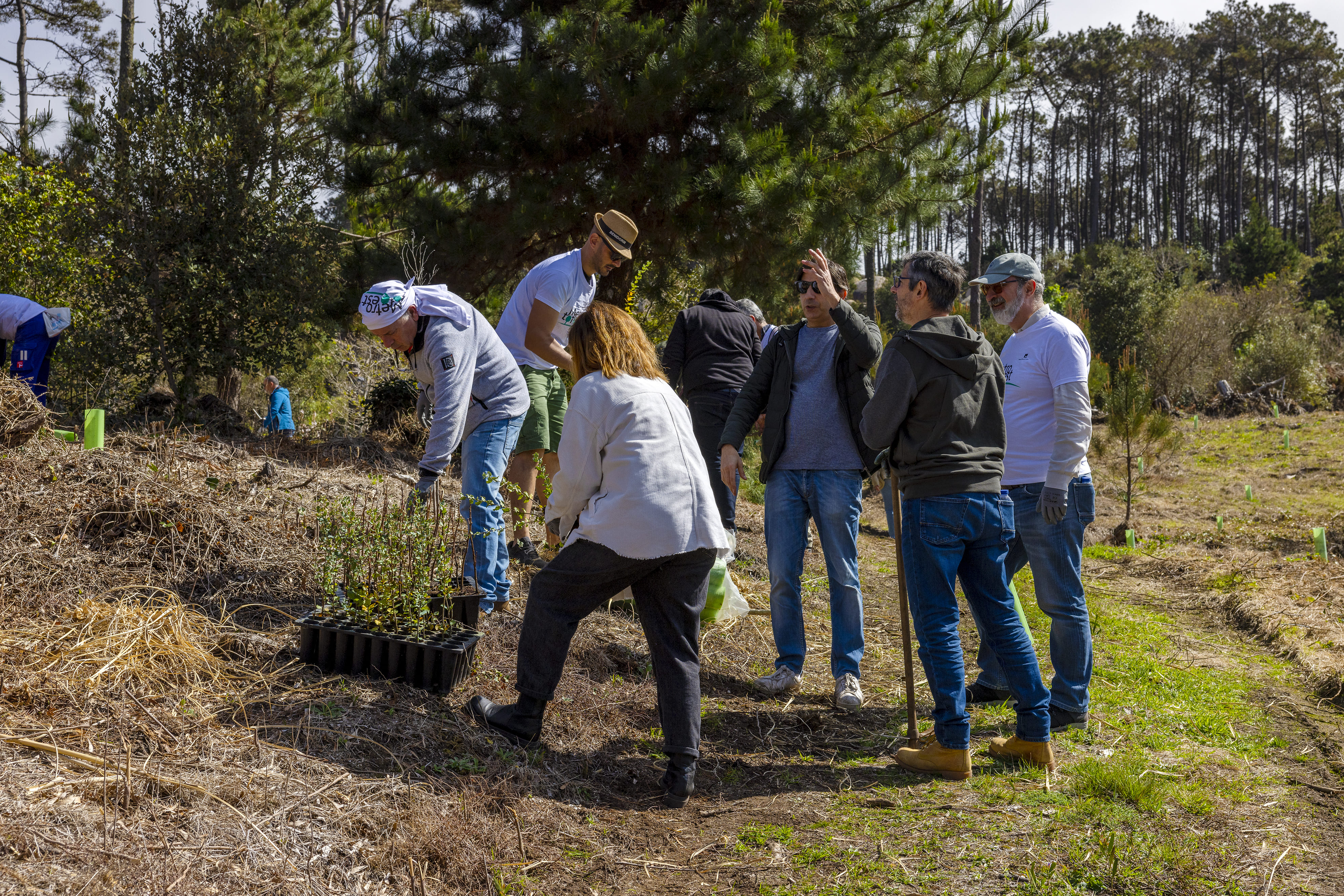 Voluntariado Dia Int Floresta E7A0246┬®PSML Jose Marques Silva Bx