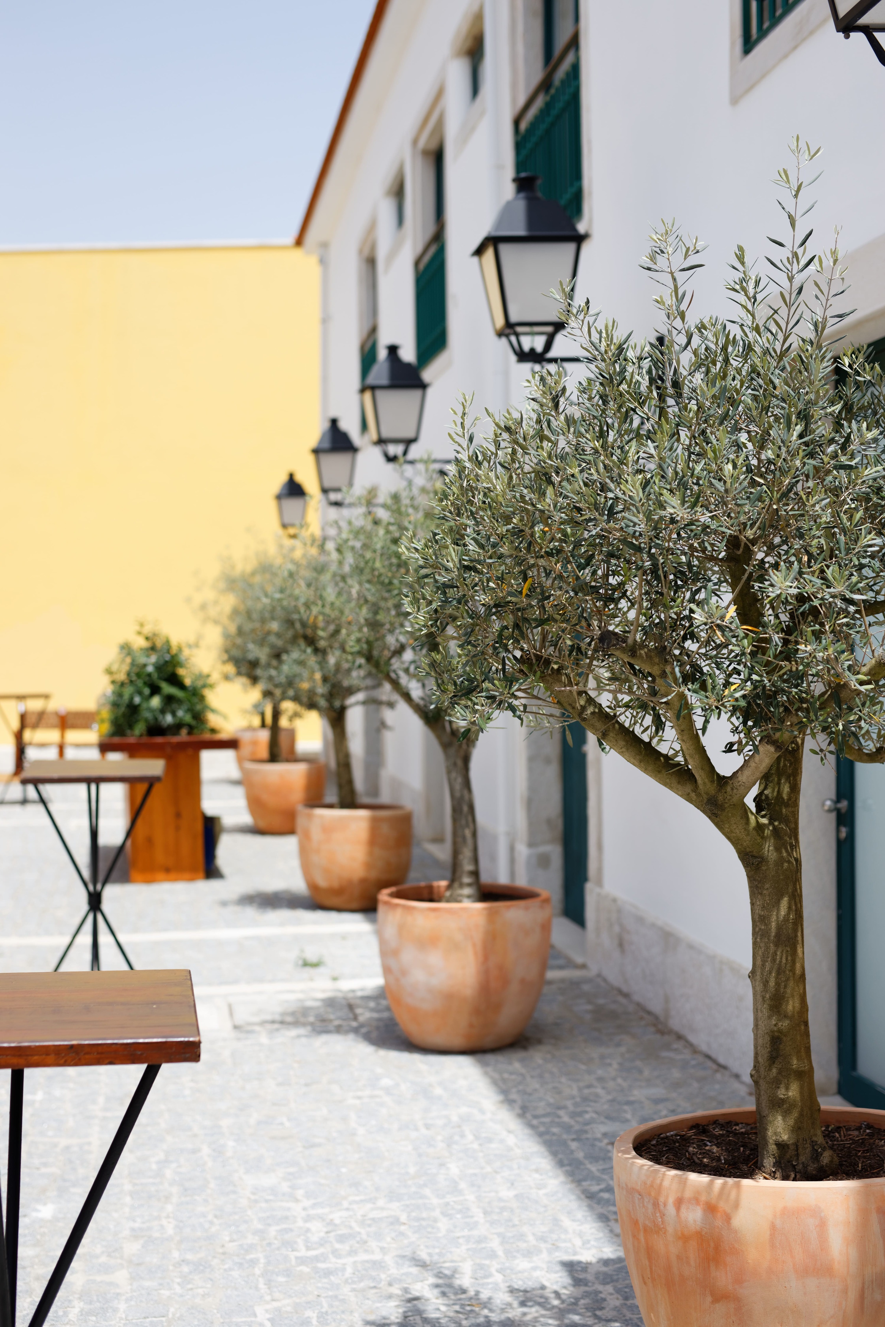 EPAE Imagem Principal Bx Rd