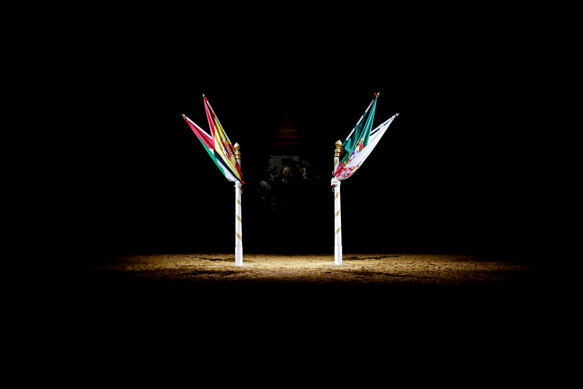 E7A0670B©PSML Jose Marques Silva Bx