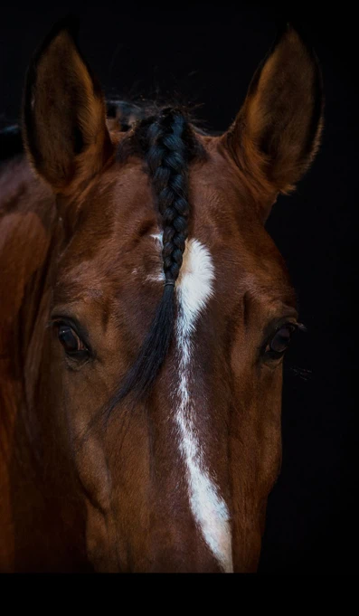 APP1116 Barao SF 9465