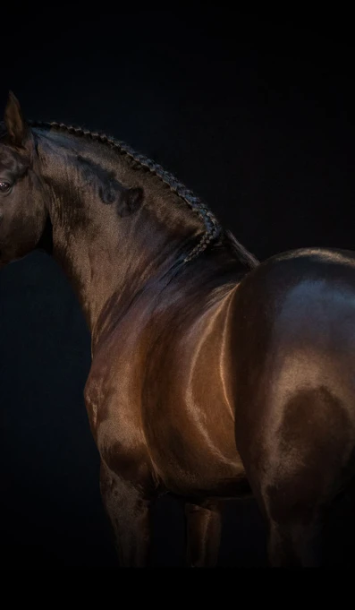 APP1116 Dihario SF 5983