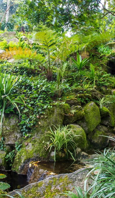 Parques De Sintra Vila Sassetti Jardim Vila Sassetti