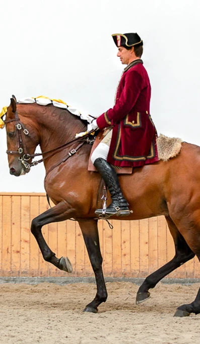 App578piaffer Hihufi RF 9704 Nuno Vicente Creditos De Rita Fernandes