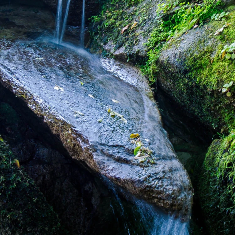 Parques De Sintra Vila Sassetti Hero 03