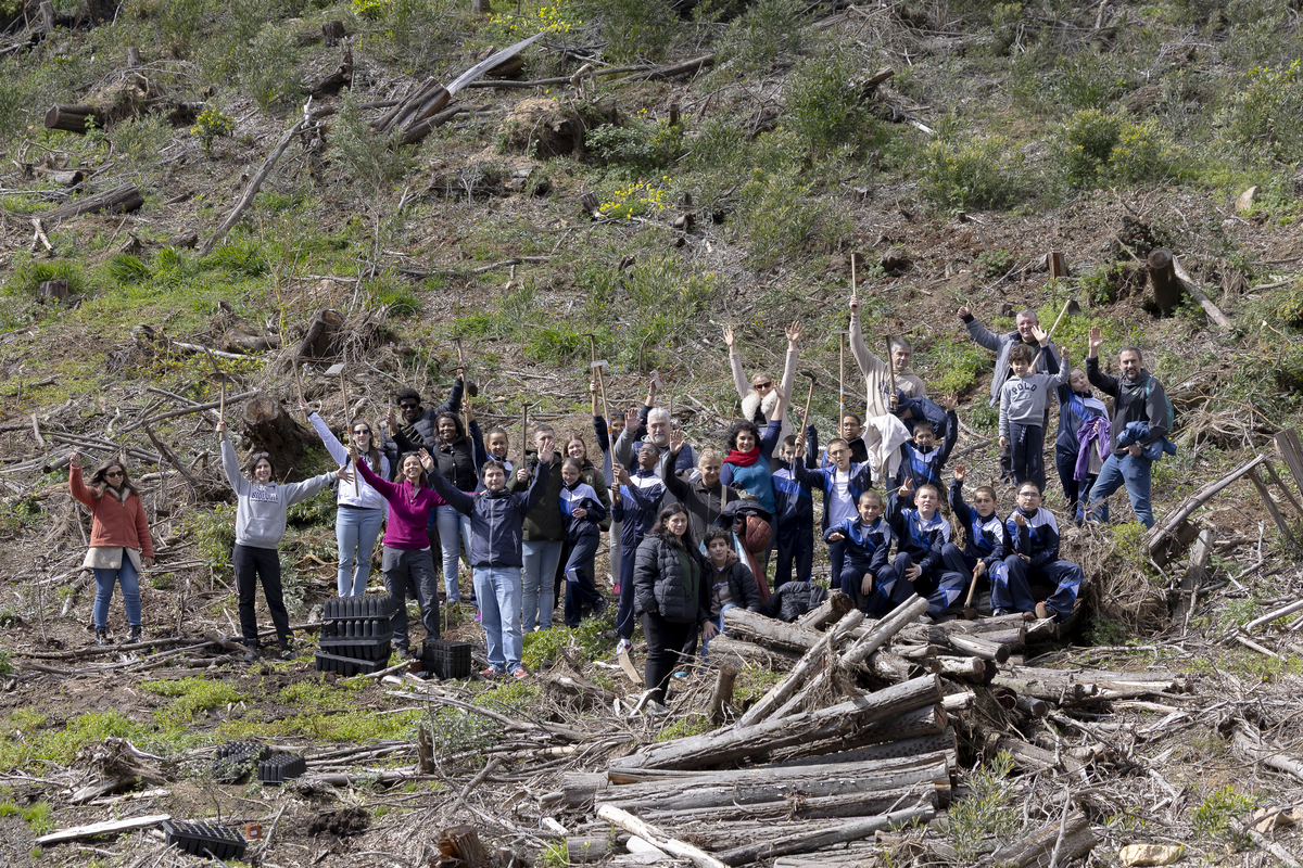 138 Plantação De Árvores EMIGUS Bx