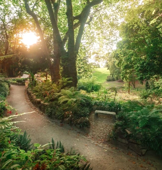 Parque De Monserrate Credits PSML EMIGUS Bx