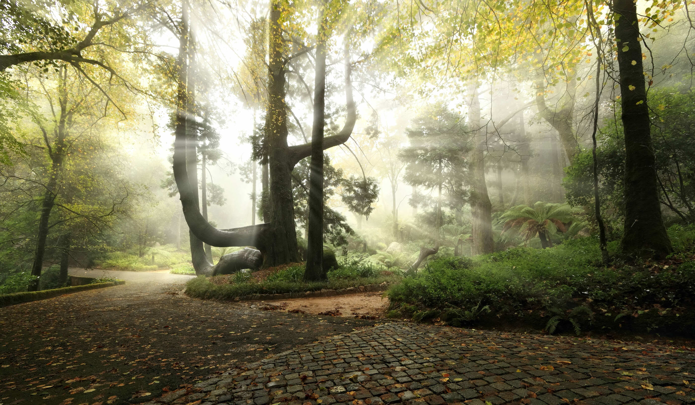 Pena Park 01 ©PSML EMIGUS (1) (1)