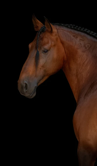 APP1116 Hihope RF 1601