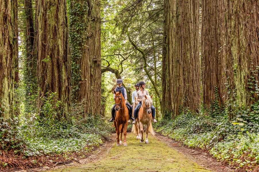 E7A8539©PSML Jose Marques Silva