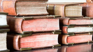 Camarim Livros 790X593px