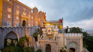 12 PNP Palaciopena B2