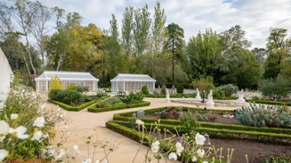 Luis Duarte PSML 9772