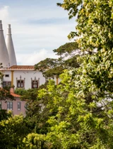 Luís Duarte PSML 1066 (1)