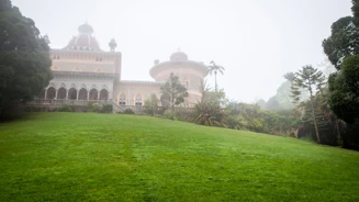 Monserrate Nevoeiro Creditos PSML Luis Duarte