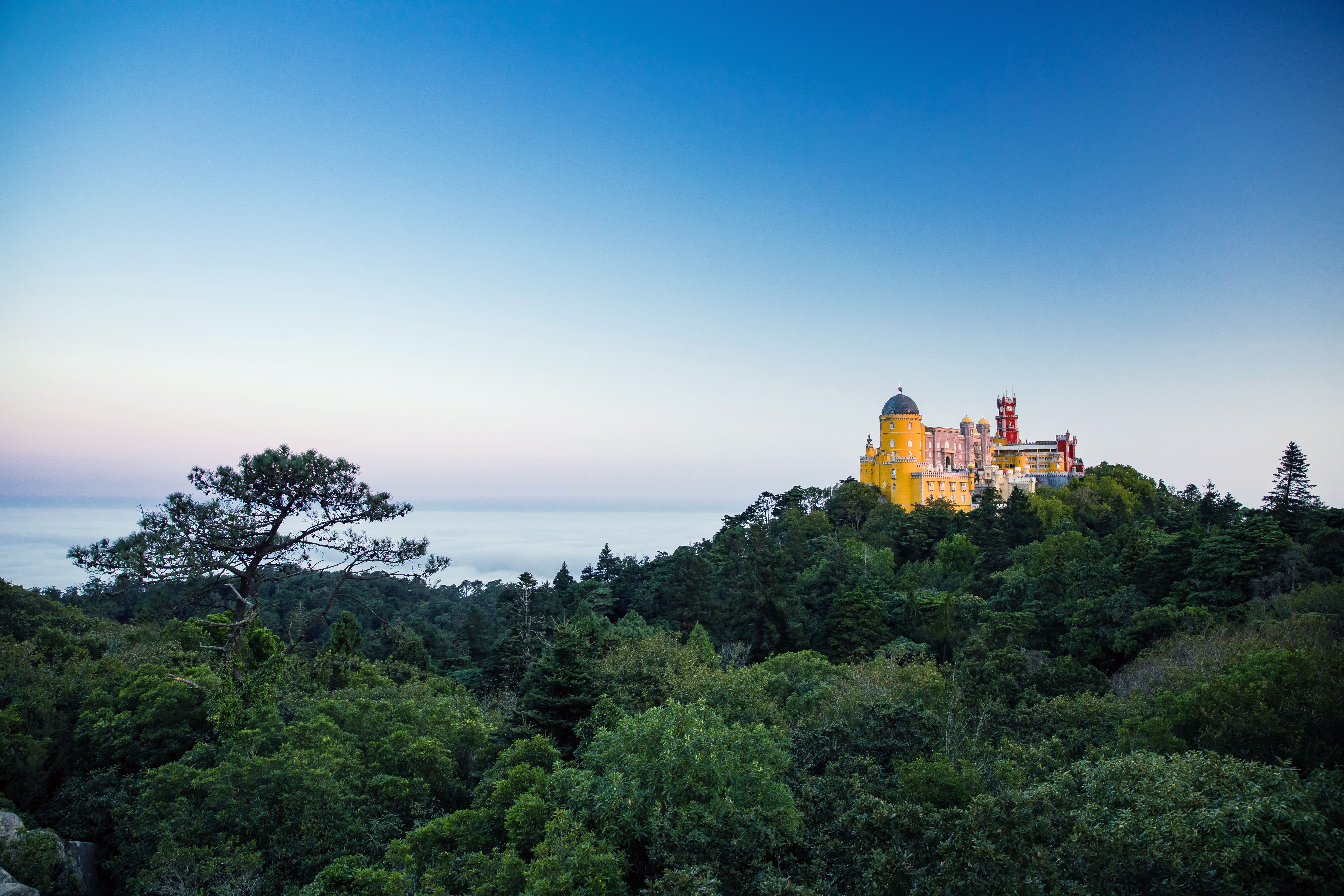 Pedipaper Pena Luis Duarte PSML 08712 Final