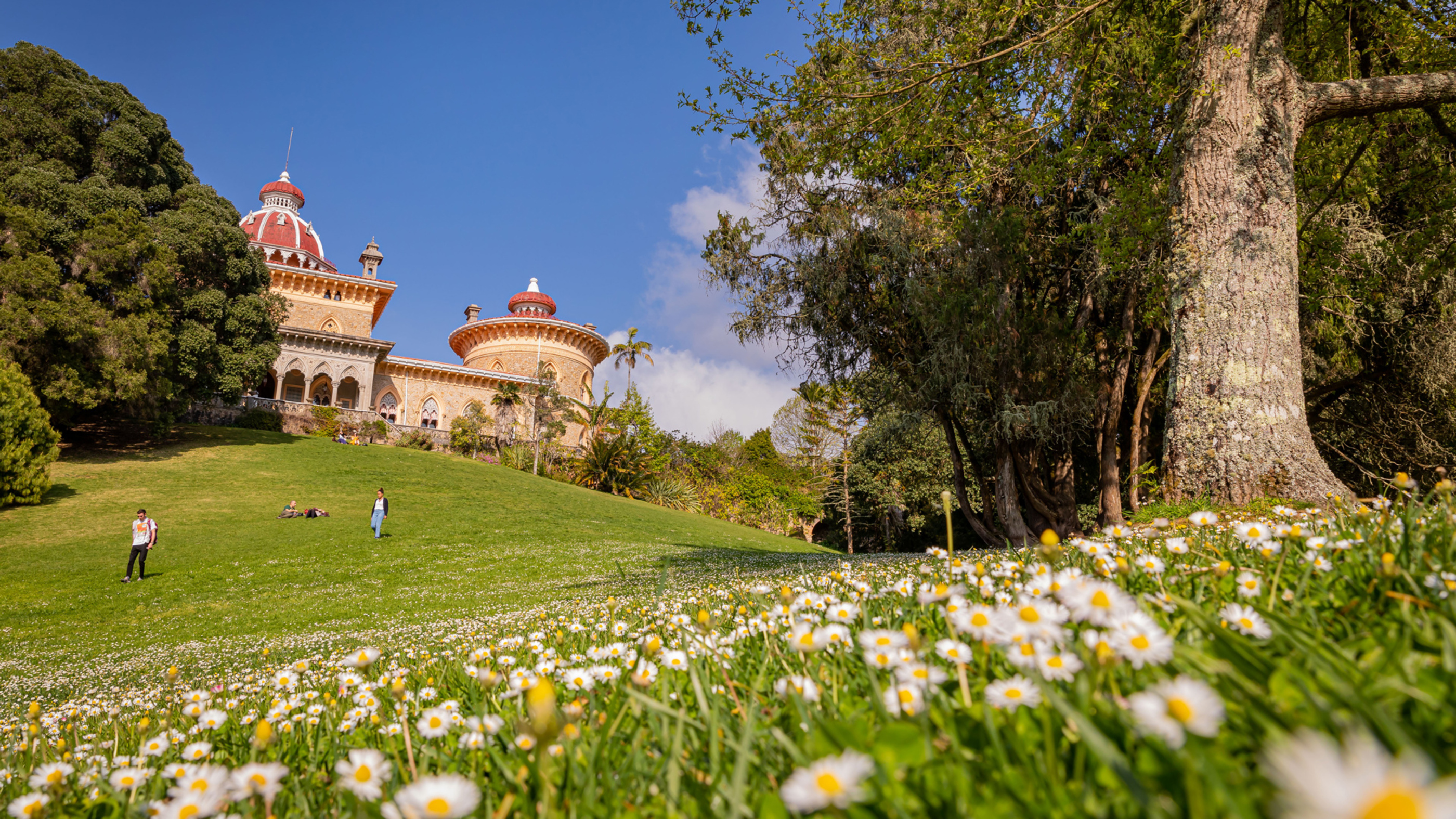 Luis Duarte PSML 8584 Instagram