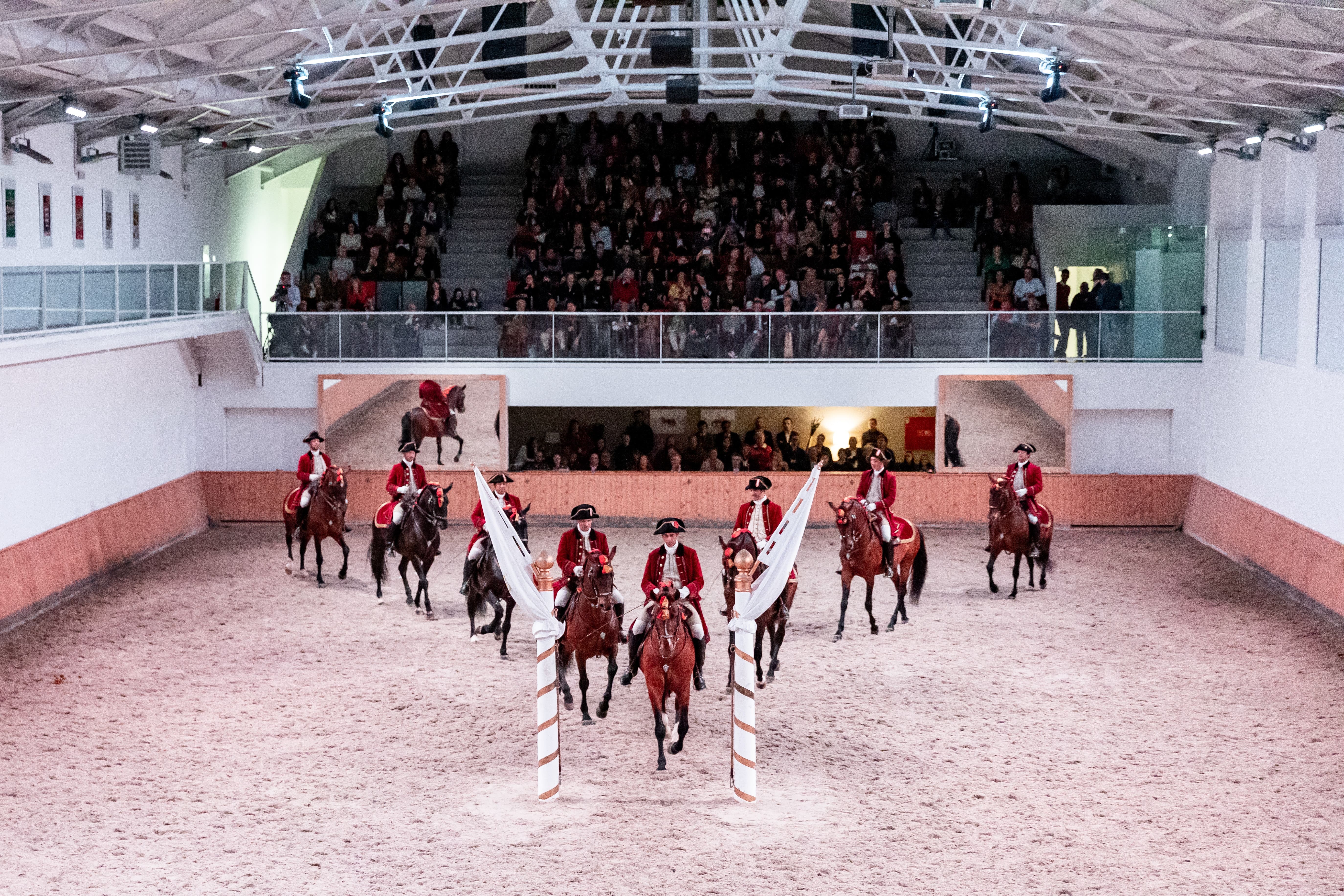 Carrossel, Gala Dos Antigos Cavaleiros, Março 2019, Créditos Luis Duarte (48) Final