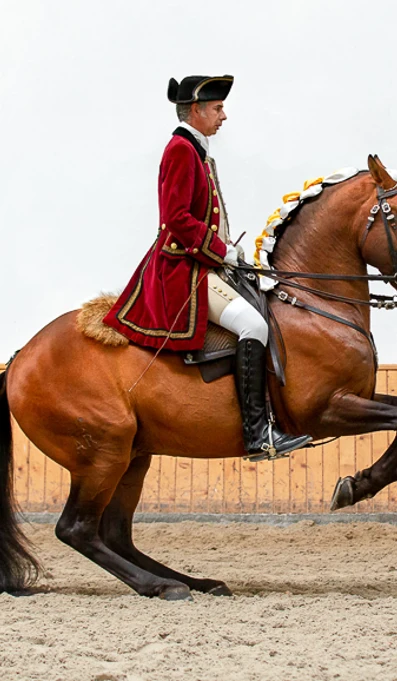 App578levade Gahucho RF 6231 João Quintas Creditos De Rita Fernandes