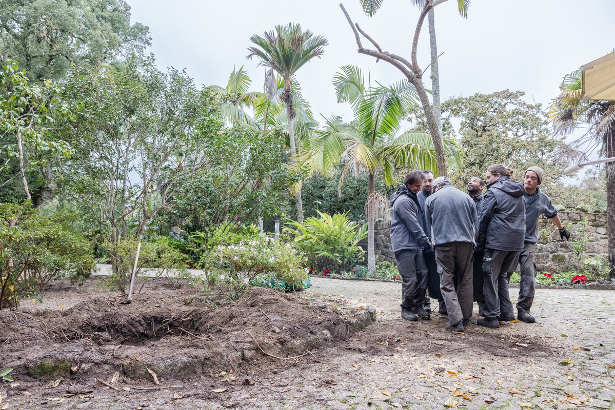 E7A0657©PSML Jose Marques Silva Bx