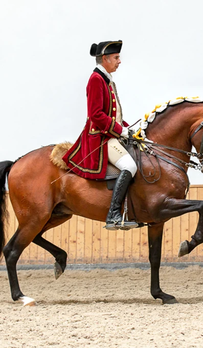 App578passage Hihoro RF 3920 João Quintas Creditos De Rita Fernandes