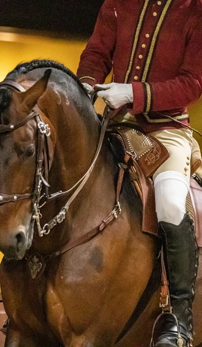 Rodrigo Gonçalves, Com Groque, Cred @Abrfotografia