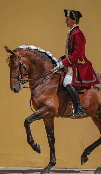 Dia Int Pat Imat SITE