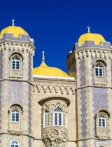 Luís Duarte PSML 8446 (1)