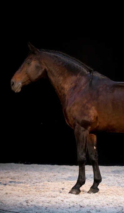 APP578 Universo SF 9308