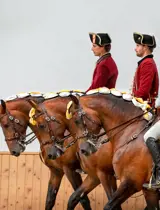 Escola Portuguesa De Arte Equestre Pas De Trois Picadeiro Henrique Calado Belem