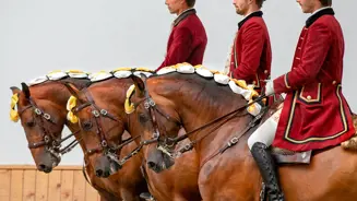 Escola Portuguesa De Arte Equestre Pas De Trois Picadeiro Henrique Calado Belem