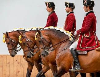 Escola Portuguesa De Arte Equestre Pas De Trois Picadeiro Henrique Calado Belem
