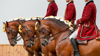 Escola Portuguesa De Arte Equestre Pas De Trois Picadeiro Henrique Calado Belem