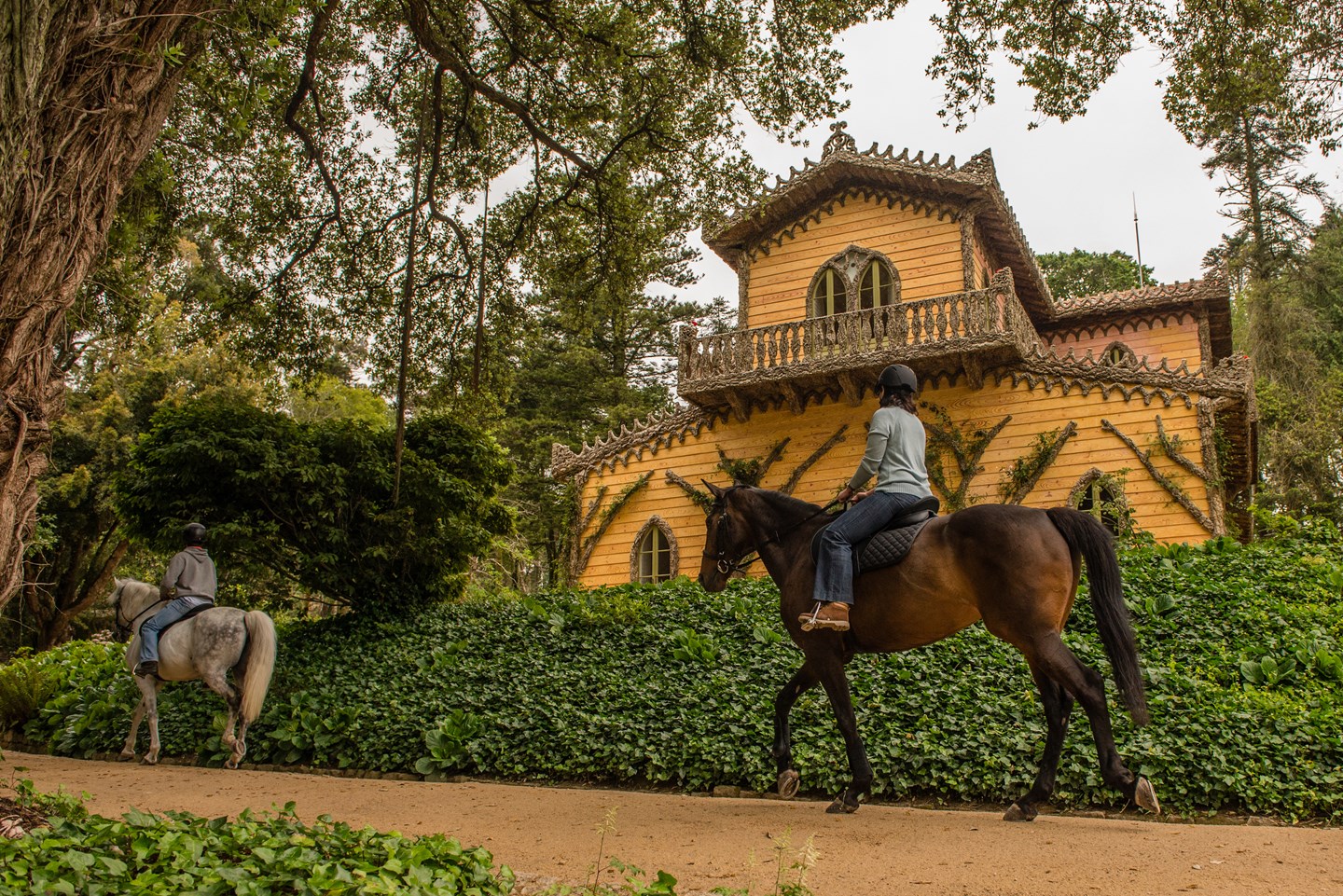 Passeios A Cavalo No Chalet Da Condessa Dedla
