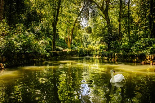 Parques De Sintra Parque E Palacio Da Pena Fonte Dos Passarinhos E Vale Dos Lagos