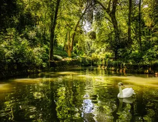 Parques De Sintra Parque E Palacio Da Pena Fonte Dos Passarinhos E Vale Dos Lagos